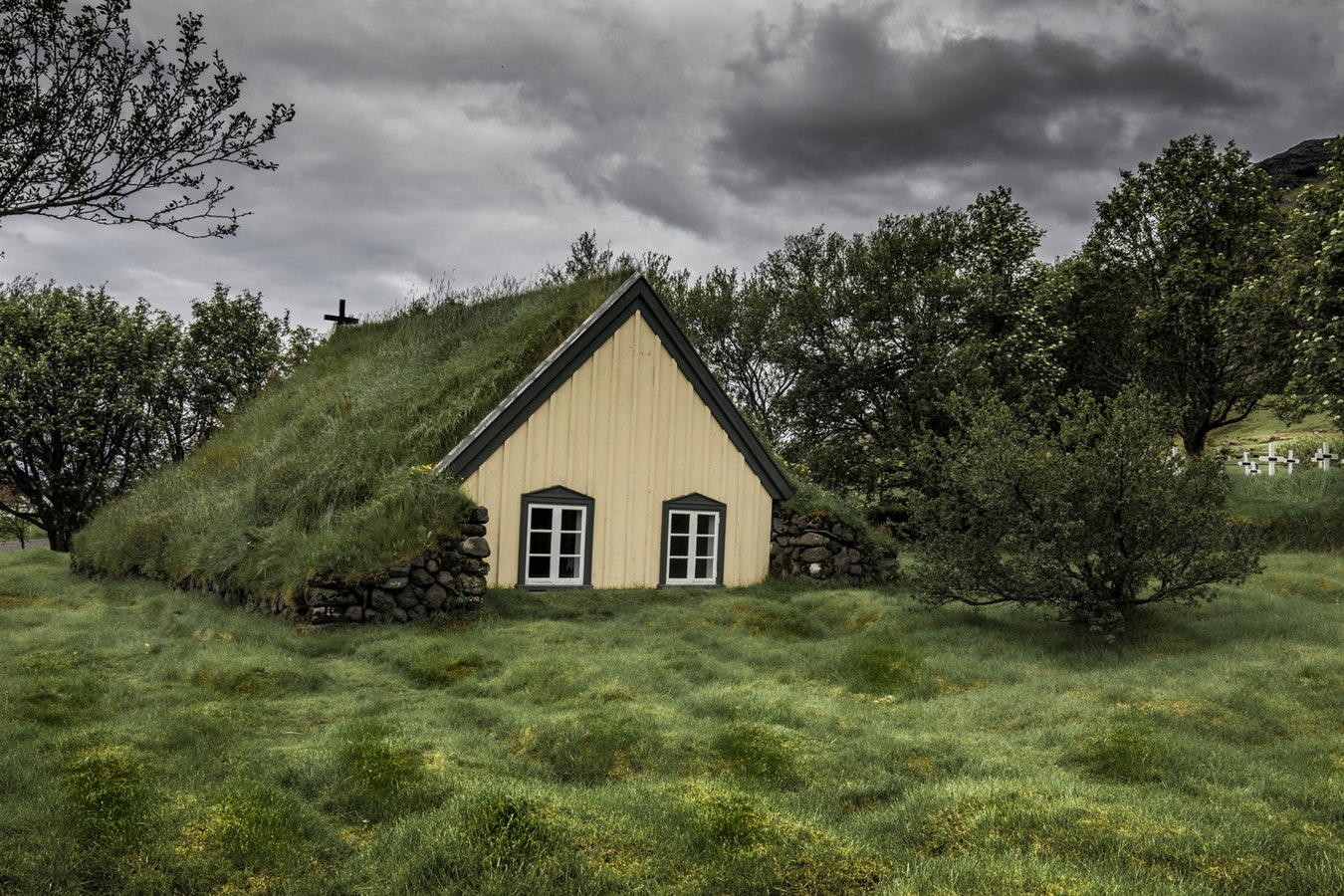 Grasshouse